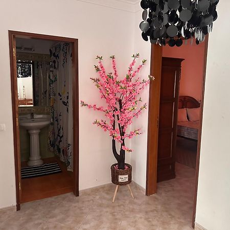 Dream House Near The Beach ปอร์เชส ภายนอก รูปภาพ